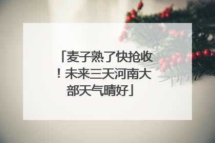 麦子熟了快抢收！未来三天河南大部天气晴好