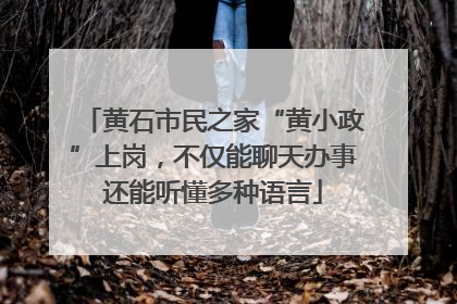黄石市民之家“黄小政”上岗，不仅能聊天办事还能听懂多种语言