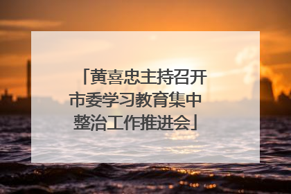 黄喜忠主持召开市委学习教育集中整治工作推进会