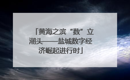 黄海之滨“数”立潮头——盐城数字经济崛起进行时