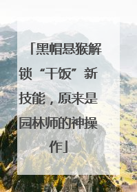 黑帽悬猴解锁“干饭”新技能，原来是园林师的神操作