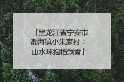 黑龙江省宁安市渤海镇小朱家村：山水环抱稻飘香
