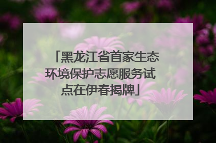 黑龙江省首家生态环境保护志愿服务试点在伊春揭牌