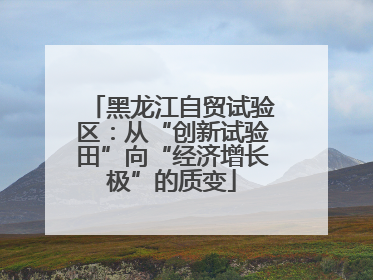 黑龙江自贸试验区：从“创新试验田”向“经济增长极”的质变