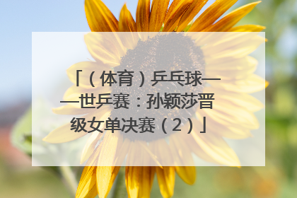 （体育）乒乓球——世乒赛：孙颖莎晋级女单决赛（2）