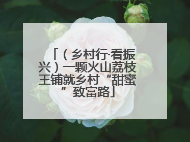 （乡村行·看振兴）一颗火山荔枝王铺就乡村“甜蜜”致富路