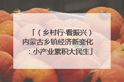 （乡村行·看振兴）内蒙古乡镇经济新变化：小产业累积大民生
