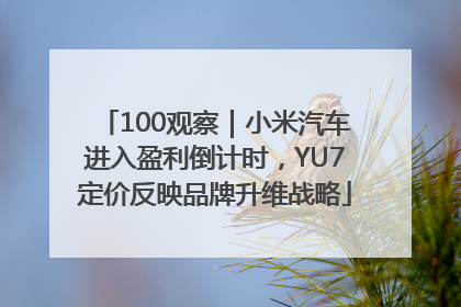 100观察｜小米汽车进入盈利倒计时，YU7定价反映品牌升维战略