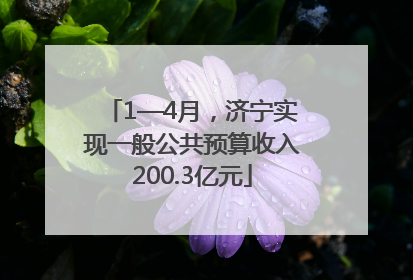 1—4月，济宁实现一般公共预算收入200.3亿元