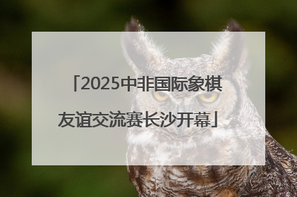 2025中非国际象棋友谊交流赛长沙开幕