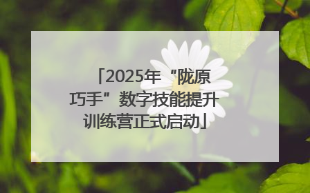 2025年“陇原巧手”数字技能提升训练营正式启动
