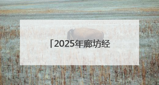 2025年廊坊经洽会亮点抢先看（十）丨离境退税“即买即退”便利国际友人“买买买”
