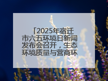 2025年宿迁市六五环境日新闻发布会召开，生态环境质量与营商环境双优化