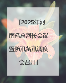 2025年河南省总河长会议暨防汛备汛调度会召开