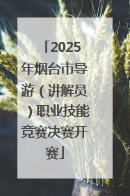 2025年烟台市导游（讲解员）职业技能竞赛决赛开赛