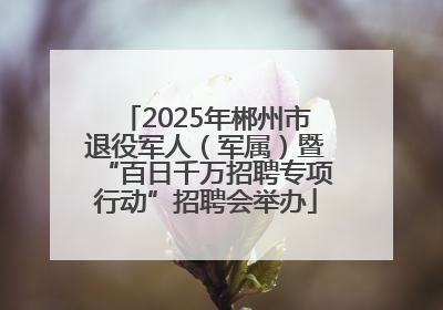 2025年郴州市退役军人（军属）暨“百日千万招聘专项行动”招聘会举办