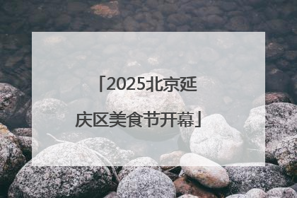 2025北京延庆区美食节开幕
