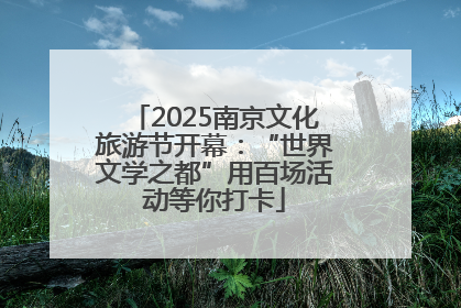 2025南京文化旅游节开幕：“世界文学之都”用百场活动等你打卡