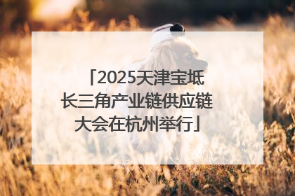 2025天津宝坻长三角产业链供应链大会在杭州举行