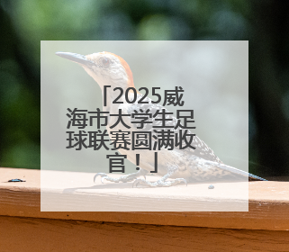 2025威海市大学生足球联赛圆满收官！