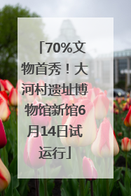 70%文物首秀！大河村遗址博物馆新馆6月14日试运行