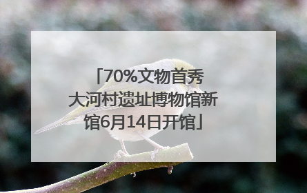 70%文物首秀 大河村遗址博物馆新馆6月14日开馆