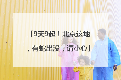 9天9起！北京这地，有蛇出没，请小心