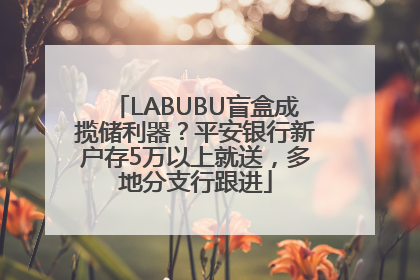 LABUBU盲盒成揽储利器？平安银行新户存5万以上就送，多地分支行跟进